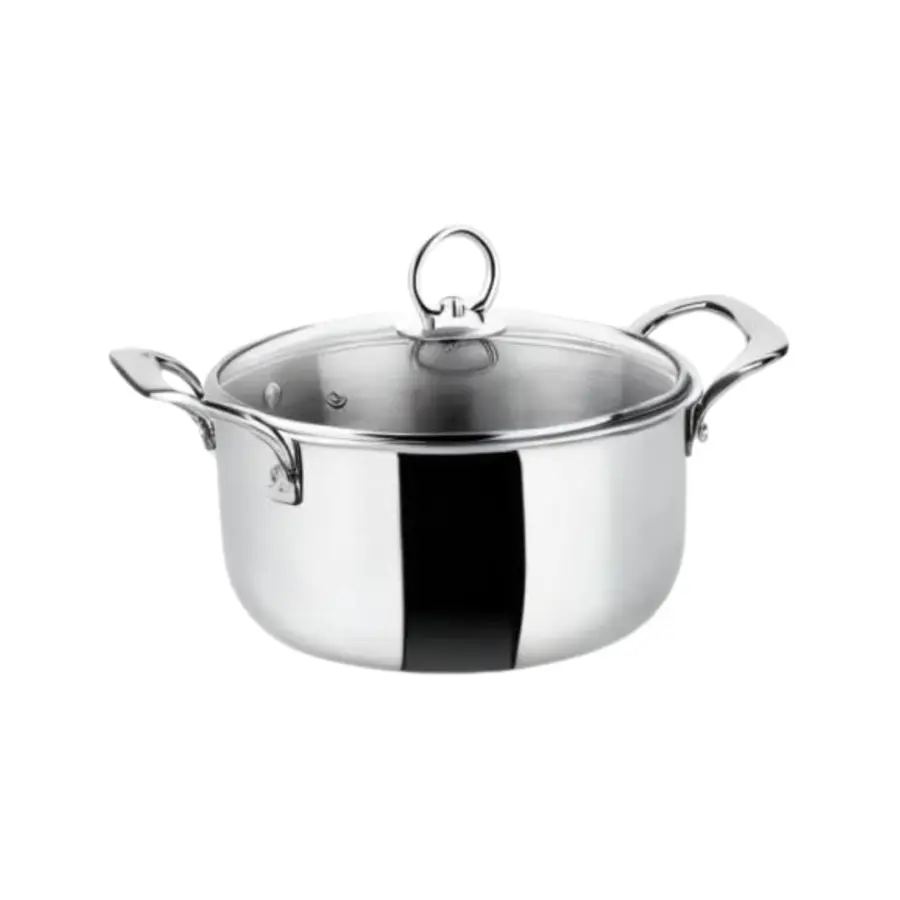"Premium Stainless Steel Casserole with Glass Lid – 20cm & 24cm – Healthy Cooking Alternative – Trontronics Sri Lanka"