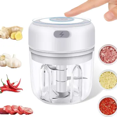 buy rechargeable garlic chopper in sri lanka