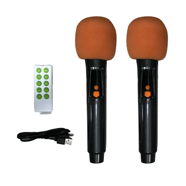 Brodu BTS-1989 Bluetooth Karaoke 22" Speaker With 2 Microphone - photo 5 - Shopo.lk