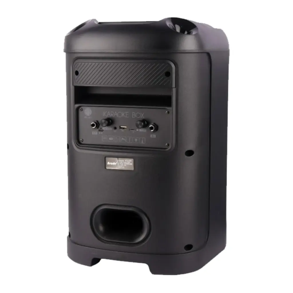 Brodu BTS-2103 Bluetooth Karaoke Speaker - photo 2 - Shopo.lk