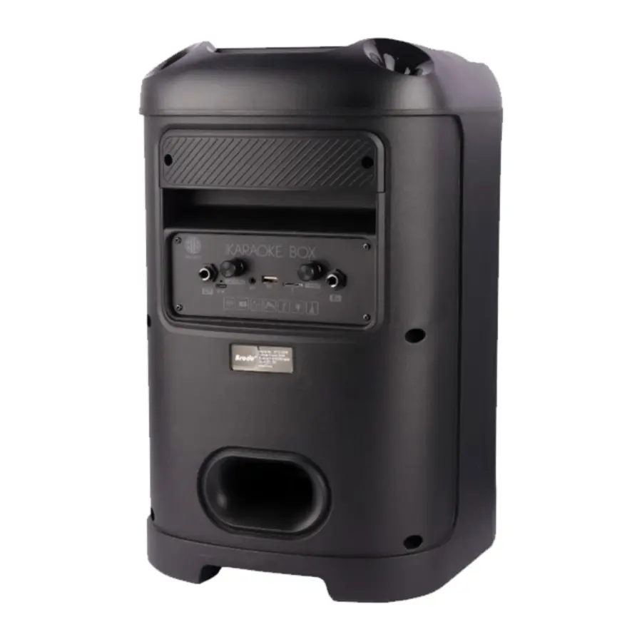 Brodu BTS-2103 Bluetooth Karaoke Speaker - photo 2 - Shopo.lk