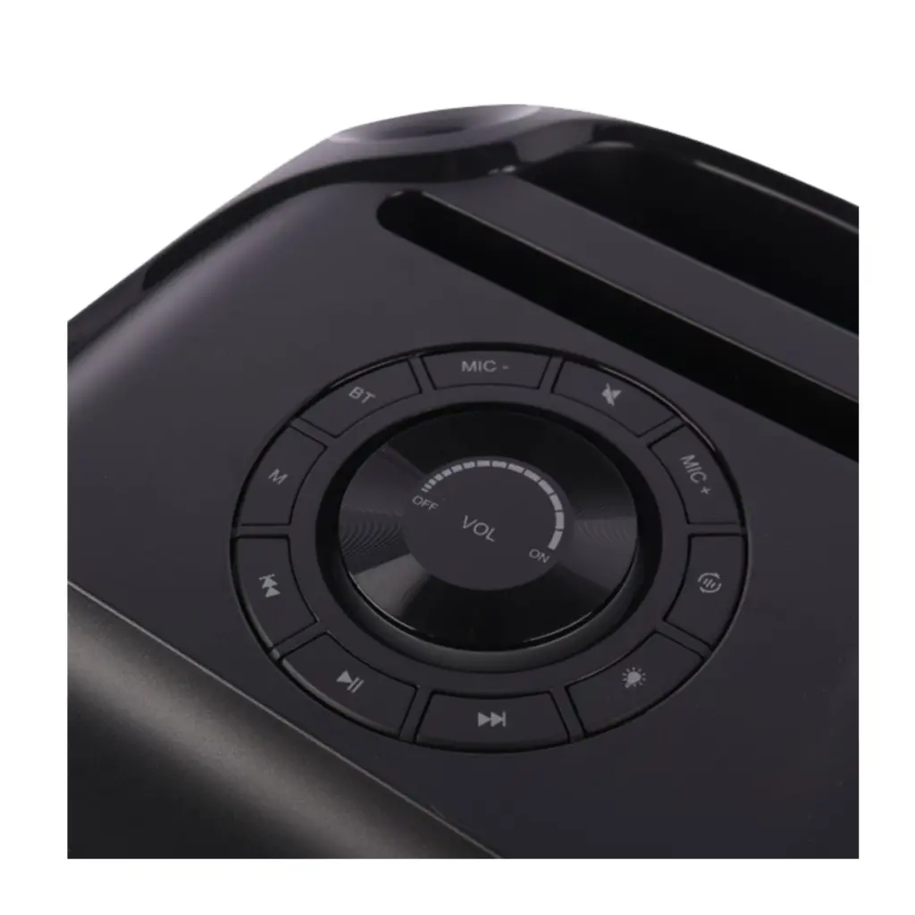 Brodu BTS-2103 Bluetooth Karaoke Speaker - photo 3 - Shopo.lk