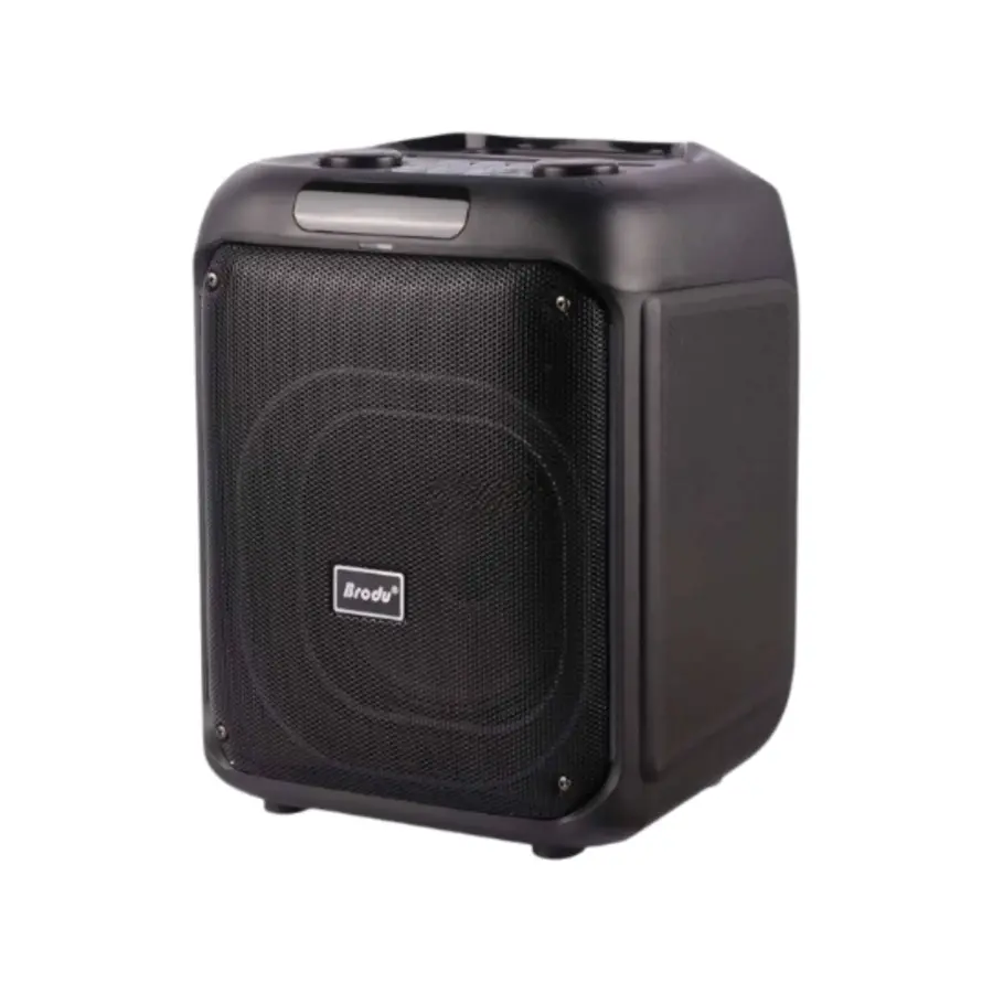 Brodu BTS-2107 Bluetooth Karaoke Speaker - photo 2 - Shopo.lk